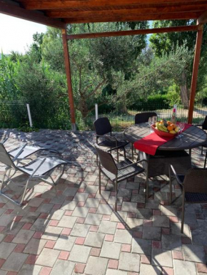 Bungalow Olive Tree